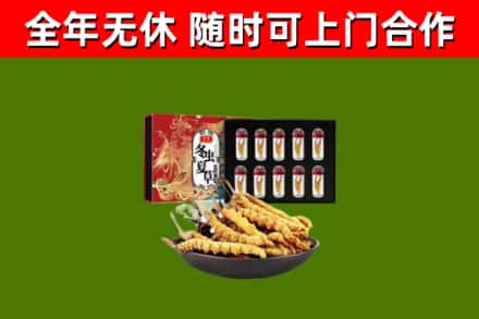黄山回收冬虫夏草价格